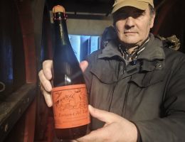Immagine 1 di FORTANA DEL TARO I.G.T. CENTENARIO GUARESCHI BERGAMASCHI VINI DI SAMBOSETO DELLA BASSA PARMENSE