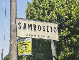 Immagine 3 di FORTANA DEL TARO I.G.T. CENTENARIO GUARESCHI BERGAMASCHI VINI DI SAMBOSETO DELLA BASSA PARMENSE