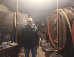 Immagine 5 di FORTANA DEL TARO I.G.T. CENTENARIO GUARESCHI BERGAMASCHI VINI DI SAMBOSETO DELLA BASSA PARMENSE