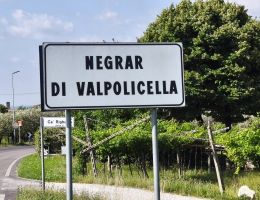 Immagine 3 di VALPOLICELLA CLASSICO SUPERIORE D.O.C. SEDESE FRANCHINI VINI A NEGRAR