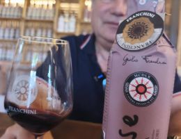 Immagine 1 di VALPOLICELLA CLASSICO SUPERIORE D.O.C. SEDESE FRANCHINI VINI A NEGRAR