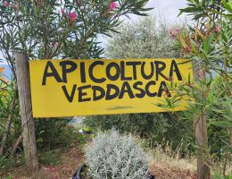 Immagine 2 di MIELE DI CASTAGNO APICOLTURA  VEDDASCA DI WILLIAM MAGNOCAVALLO DI MACCAGNO