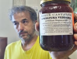 Immagine 1 di MIELE DI CASTAGNO APICOLTURA  VEDDASCA DI WILLIAM MAGNOCAVALLO DI MACCAGNO