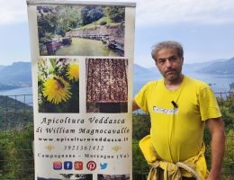 Immagine 5 di MIELE DI MELATA  APICOLTURA VEDDASCA DI WILLIAM MAGNOCAVALLO DI MACAGNO