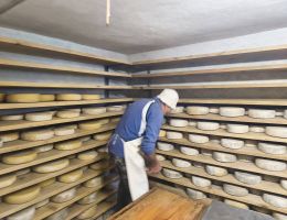 Immagine 4 di ALPE VEGLIA FORMAGGIO NOSTRANO ALPEGGIO CASEIFICIO ZANOLA
