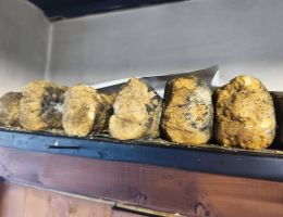 Immagine 1 di ALPE VEGLIA RICOTTA FRESCA E AFFUMICATA  A LEGNA  IN ALPEGGIO CASEIFICIO ZANOLA