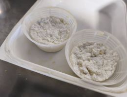 Immagine 5 di ALPE VEGLIA RICOTTA FRESCA E AFFUMICATA  A LEGNA  IN ALPEGGIO CASEIFICIO ZANOLA