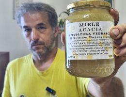 Immagine 1 di MIELE DI ACACIA APICOLTURA VEDDASCA DI WILLIAM MAGNOCAVALLO DI MACCAGNO