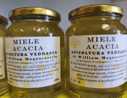 Immagine 2 di MIELE DI ACACIA APICOLTURA VEDDASCA DI WILLIAM MAGNOCAVALLO DI MACCAGNO