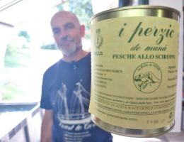 Immagine 1 di PESCHE GIALLE SCIROPPATE DI MONATE AGRICOLA MARCO BINA PRODUTTORE