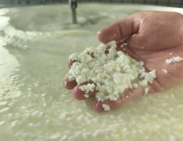 Immagine 2 di MONTE VERONESE DOP D'ALLEVO PRESIDIO SLOW FOOD LA CASARA RONCOLATO 1920